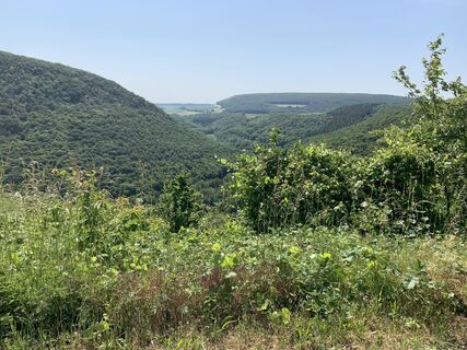 Zemljevid
