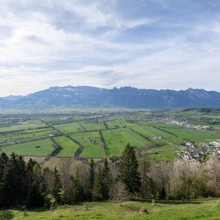 Blick auf das Liechtensteiner Unterland von Planken aus
