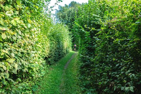 Qualitätstour Durch das Habichtstal (Po 2)