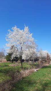 Fotografia z Enkidu55 na trase