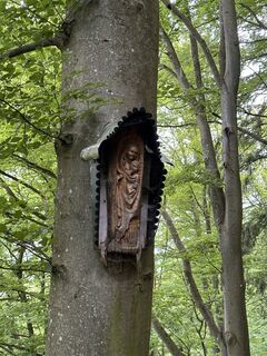 Photo de Babs Holz le long du parcours