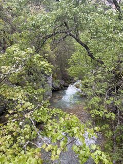 Photo de Amiks le long du parcours