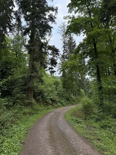Fotografija s spletne strani Kerten Millardo na poti