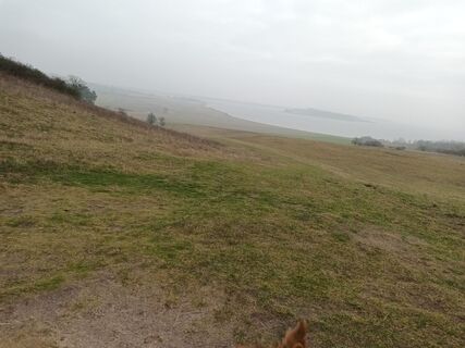 Foto de Marga a lo largo del recorrido