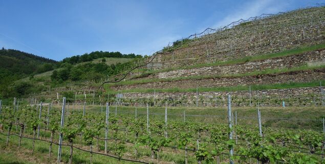 Aufstieg zu den Schildhütten