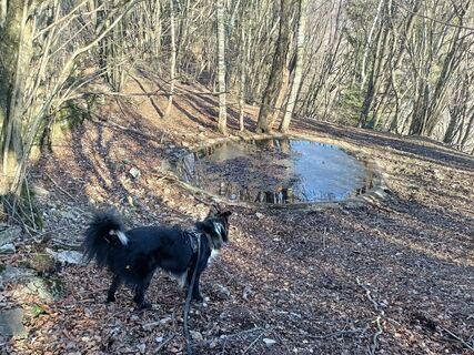 Foto fra pat59a60 undervejs på turen