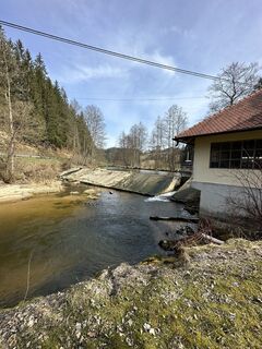 Fotografia z Babs Holz na trase