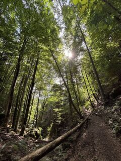 Foto de RS76 a lo largo del recorrido