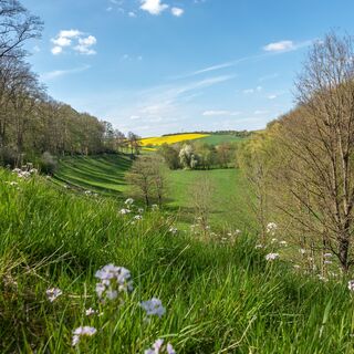 Blick_Kuventhal_R_Wenzen