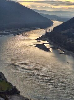 Foto de Mimi a lo largo del recorrido