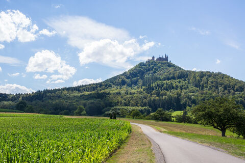 Blick auf die Burg Hohenzollern von Hechingen Boll