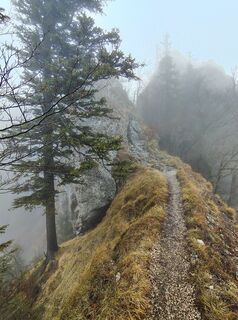 Zdjęcie z Aldin Burnic wzdłuż trasy
