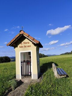 Foto fra Edith K. undervejs på turen