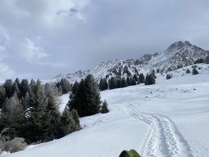Photo de Sebastian Pohl le long du parcours