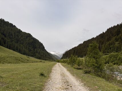 Fotografia z Stucki Sven na trase