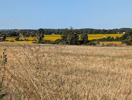 Fotografia z Herve Andeler na trase
