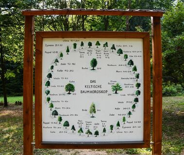 Baumhoroskop