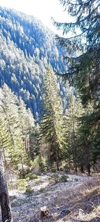 Photo de Sándor Vajda le long du parcours