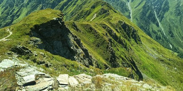 Foto de Heliamus a lo largo del recorrido