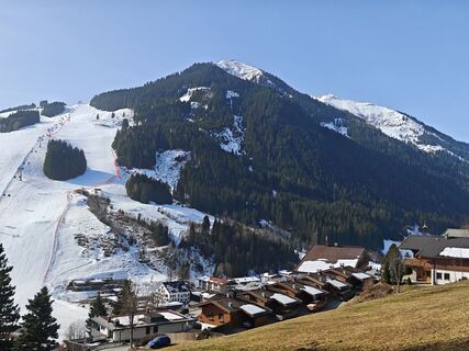 Fotografija s spletne strani Michi Steiert na poti