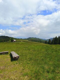 Photo de Romek Dwornik le long du parcours