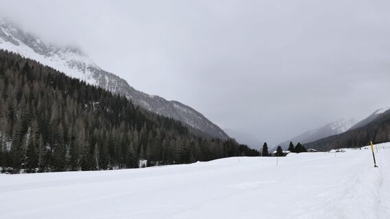 Foto fra Svensonalpin undervejs på turen