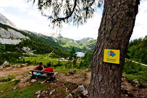 Glücksplatz auf der Tauplitzalm