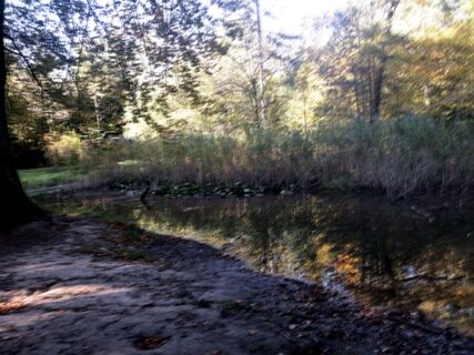 Foto de Martin Würsch a lo largo del recorrido