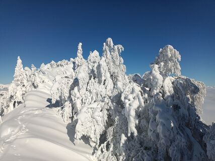 Foto fra Damijan Novak underveis på turen