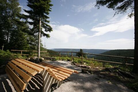 Himmelsliege beim Huzenbacher Seeblick