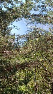 Fotografia z Andrea G na trase