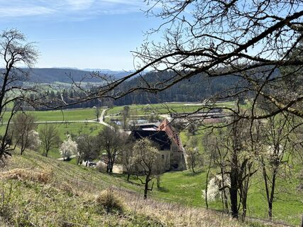 Fotografija s spletne strani Melanie Bechtold na poti