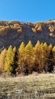 Fotografija s spletne strani Fabrizi Mellano na poti