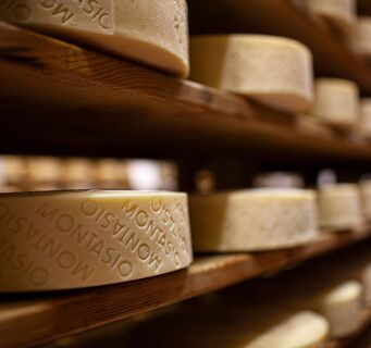 Montasio-Käse