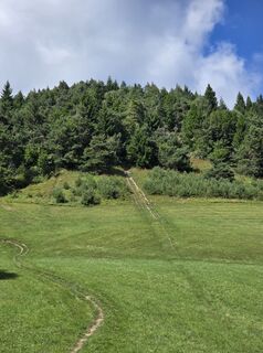 Foto de Damir Habuš a lo largo del recorrido