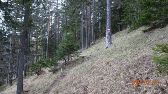 Aufstieg am Hanselsteig