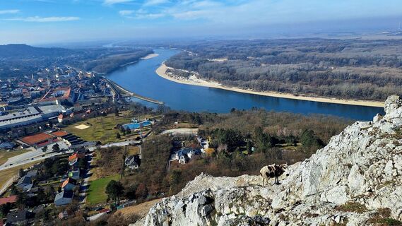 Fotografia z Regina Fleischmann na trase