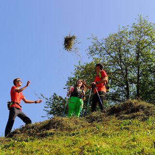 Spazierengehen macht Spaß