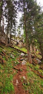 Foto fra Klaus Lehner undervejs på turen