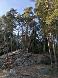Fotografia z Dagmar Hofer na trase