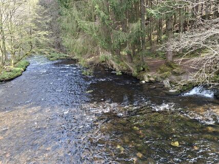Fotografia z Herlen Wacker na trase