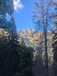 Photo de Julian Lewisch le long du parcours