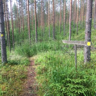 Vilkaharjun Naturpfad