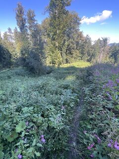 Fotografia z Alexander König 09 na trase