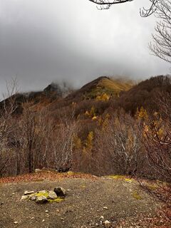 Fotografie z Nicola Florini na trase