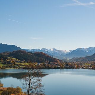Der Große Alpsee
