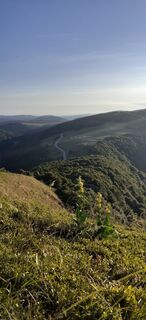 Photo de Bernard Piat le long du parcours