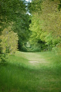 Heilpflanzenlehrpfad