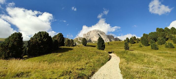 Foto von Elmar Steinkasserer entlang der Tour