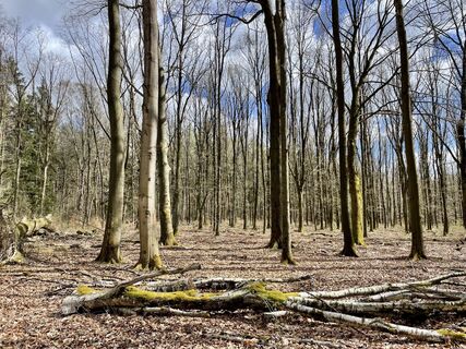 Fotografija s spletne strani Sebastian Keßler na poti